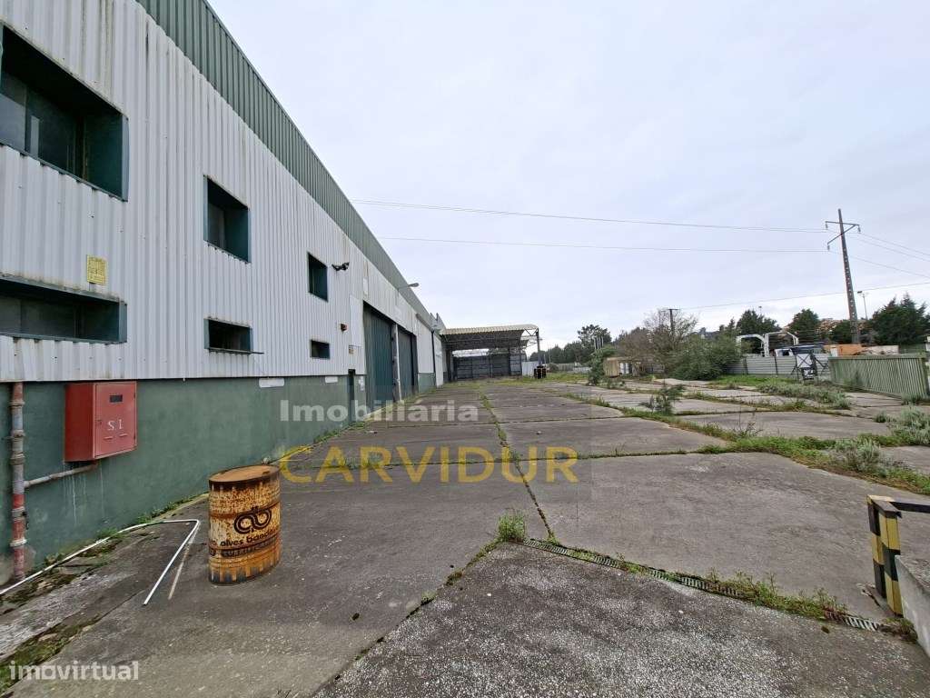 Armazém Industrial de Grande Dimensão - Parque Industrial da Mitren...-12