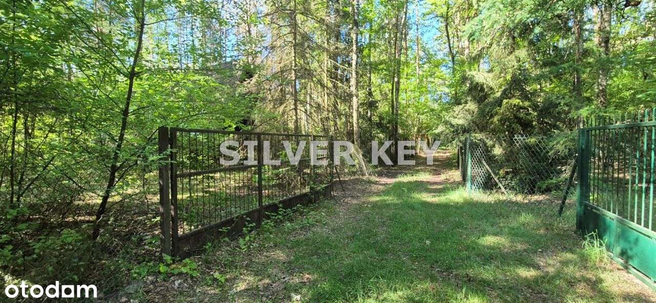 działka w lesie/2293m2/25 minut od Łodzi-3