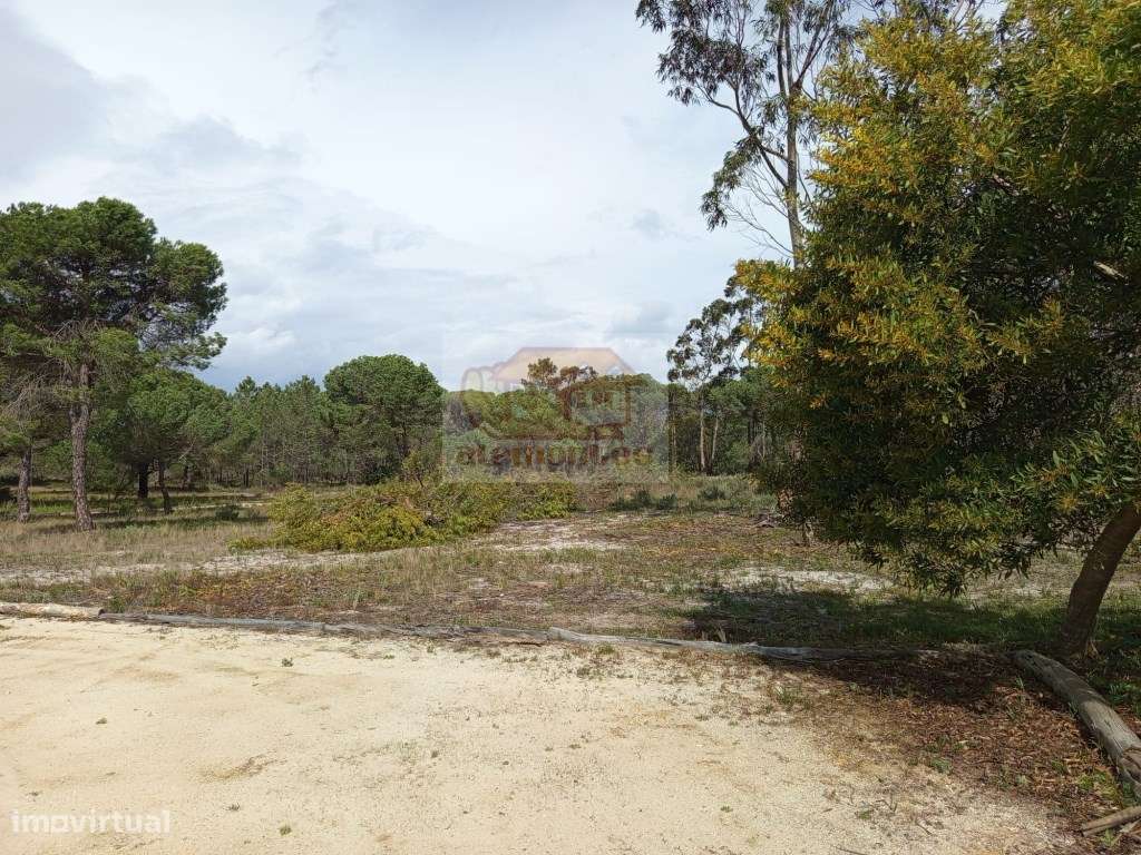 Casa de campo a 5 minutos da praia - Melides-7