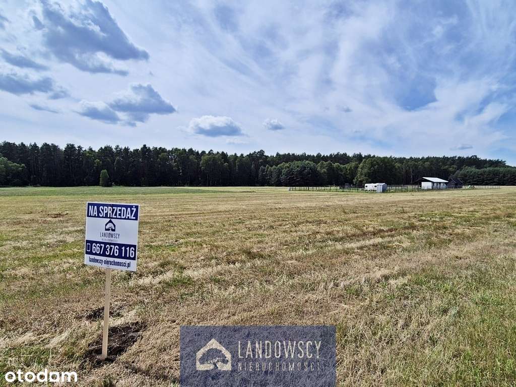 Rekreacyjne miejsce na Kociewiu z dala od gwaru - Pełny obrazek: 5/19