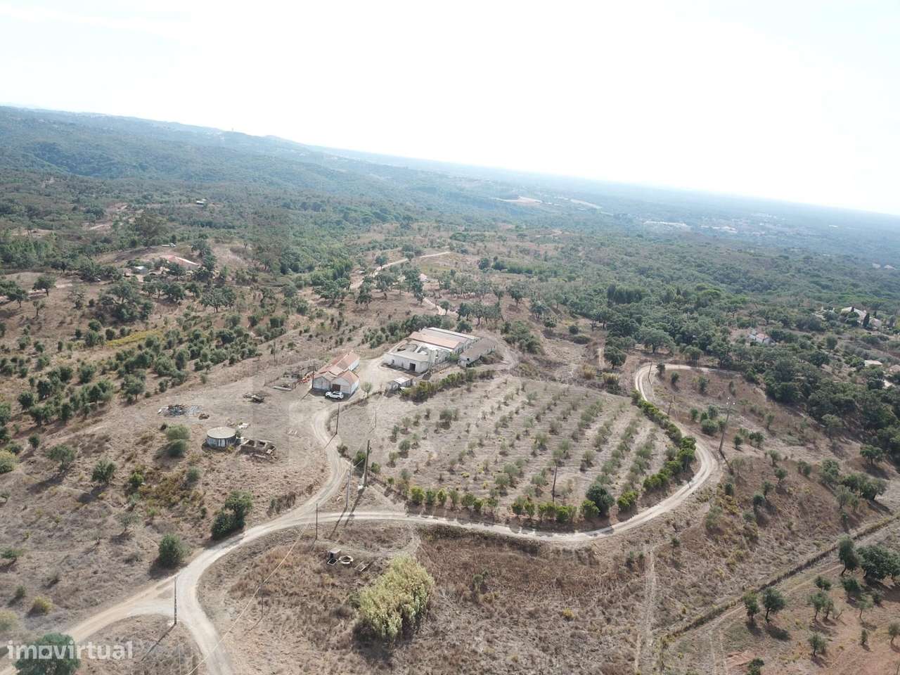 Monte Alentejano - Santiago do Cacém - 13 hectares-8