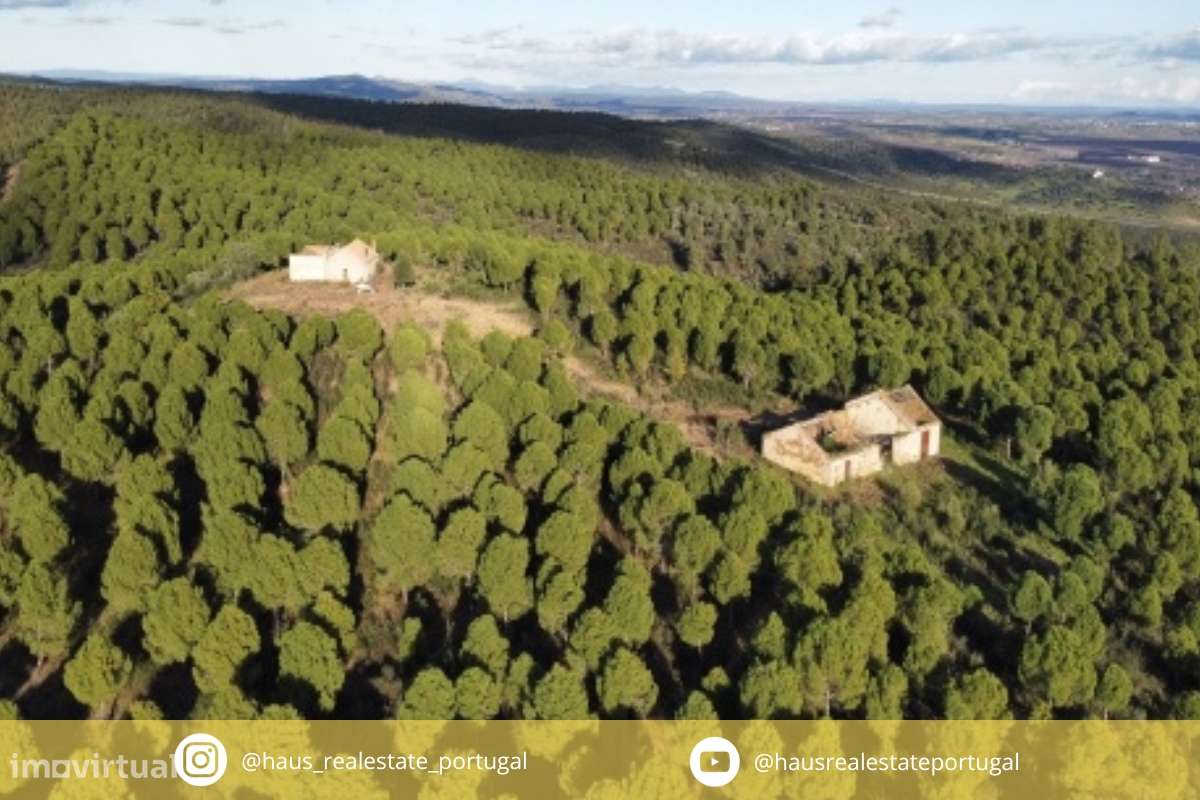 Herdade T5 Venda em Escalos de Baixo e Mata,Castelo Branco-30