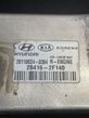 Racitor gaze egr Hyundai Santa Fe 2.2 Automat - 3