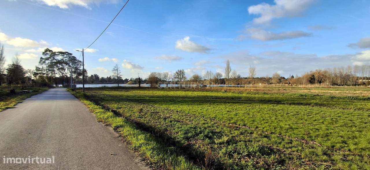 Casa Rústica em Mira, Coimbra - Oportunidade de Recuperação-28