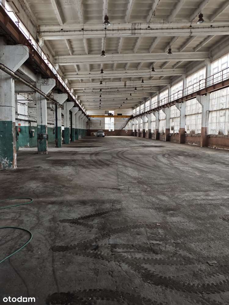 Hala Suwnice  Produkcja Magazynowanie - Pełny obrazek: 4/15