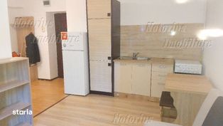 Apartament una cameră renovat, ultracentral, demisol, Hunedoara.