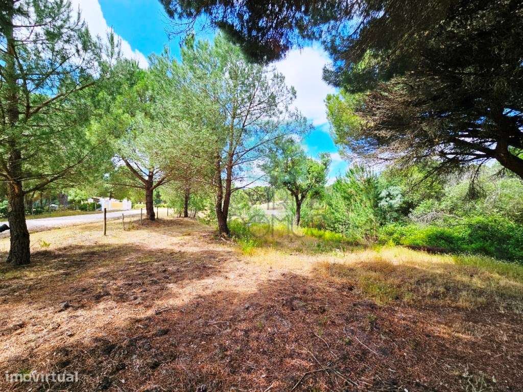 Lote de Terreno de 33.300m2, com lagoa, na Mata do Duque 1, Santo E...-14