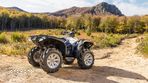 Yamaha Grizzly - 5