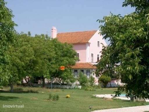 Quinta da Loureira - Urbanização e Turismo Rural-23