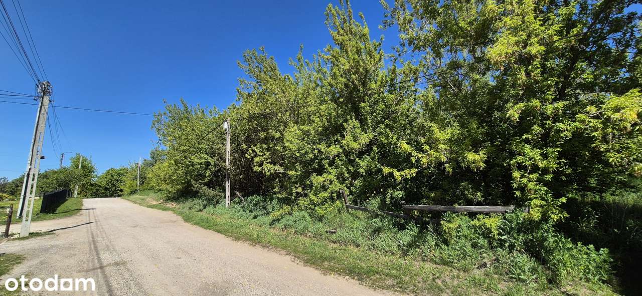 Działka na wzgórzu w Studziankach - Pełny obrazek: 4/7