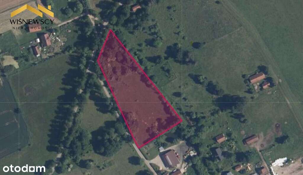 Działka 1.13ha z warunkami zabudowy, Łozy-Braniewo - Pełny obrazek: 3/5