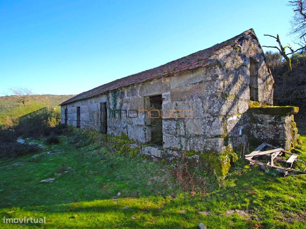 Terreno de 84 hectares-26