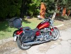 Triumph Thunderbird - 6