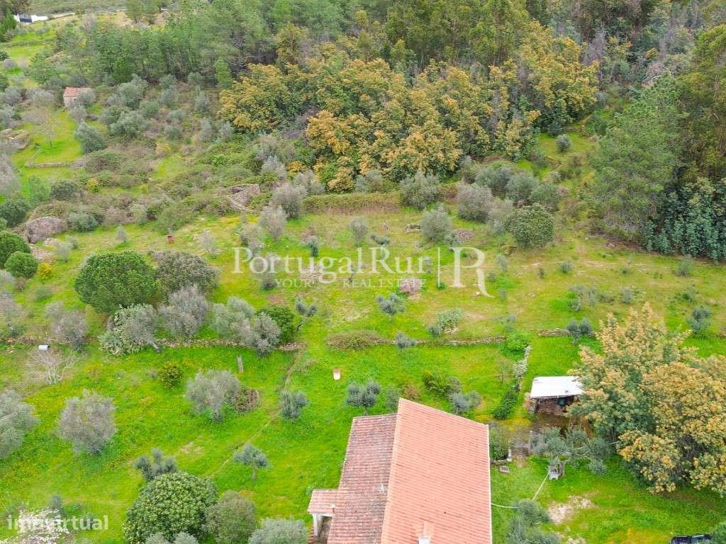 Quintinha de 1,5 ha com Moradia T1 e varias ruínas em Escalos de Baixo - Grande imagem: 3/48