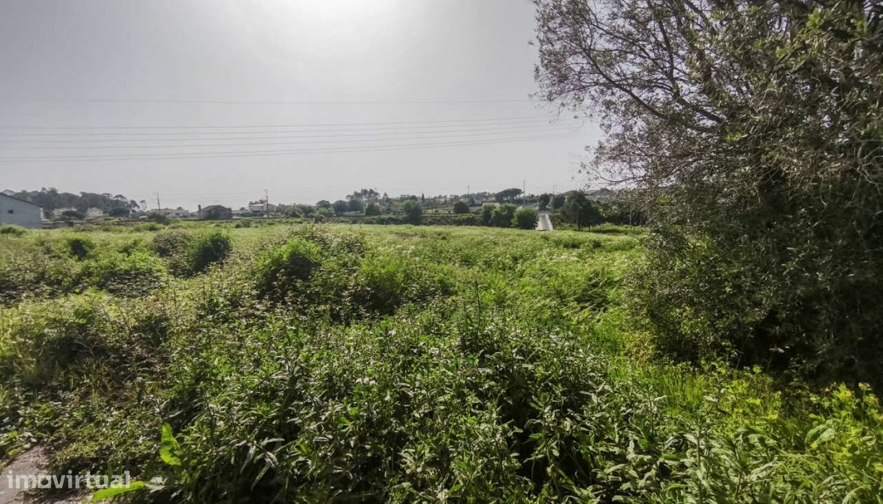 Venda de Terreno agrícola em Vila Fria, Viana do Castelo - Grande imagem: 2/24