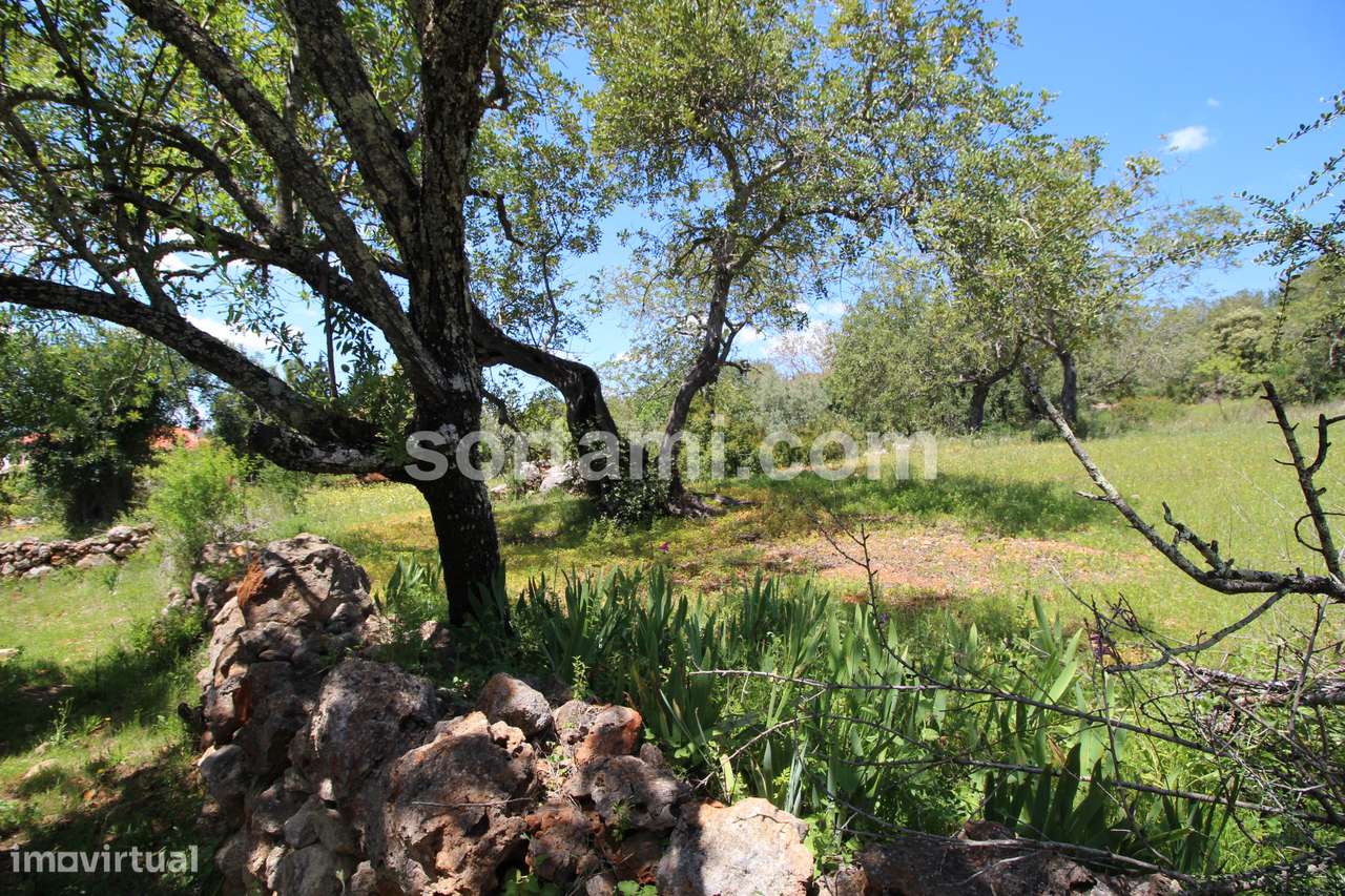 Terreno Para Construção  Venda em Querença, Tôr e Benafim,Loulé - Grande imagem: 5/7