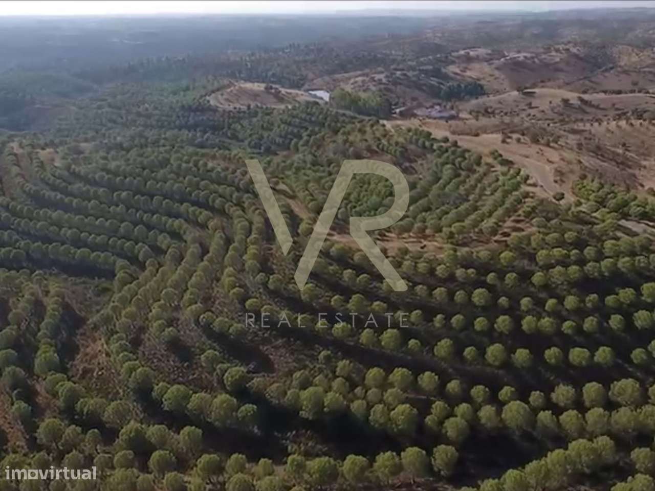 Herdade da Várzea do Escalda, localiza-se em Mértola-6
