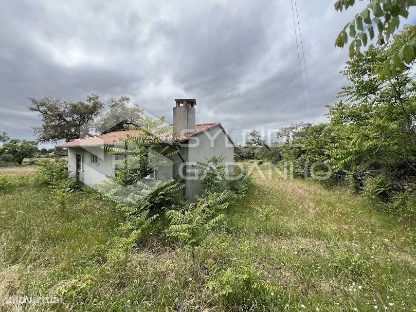 Terreno com casa agrícola para VENDA em São Miguel de Acha-15