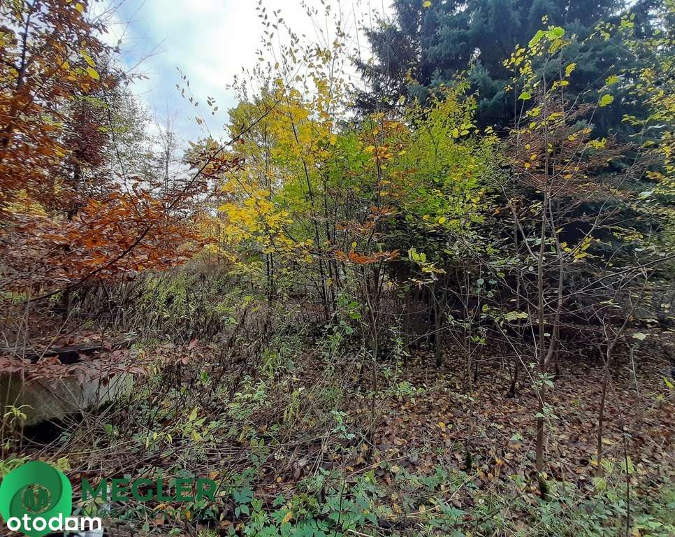 Działka w otulinie lasu-0