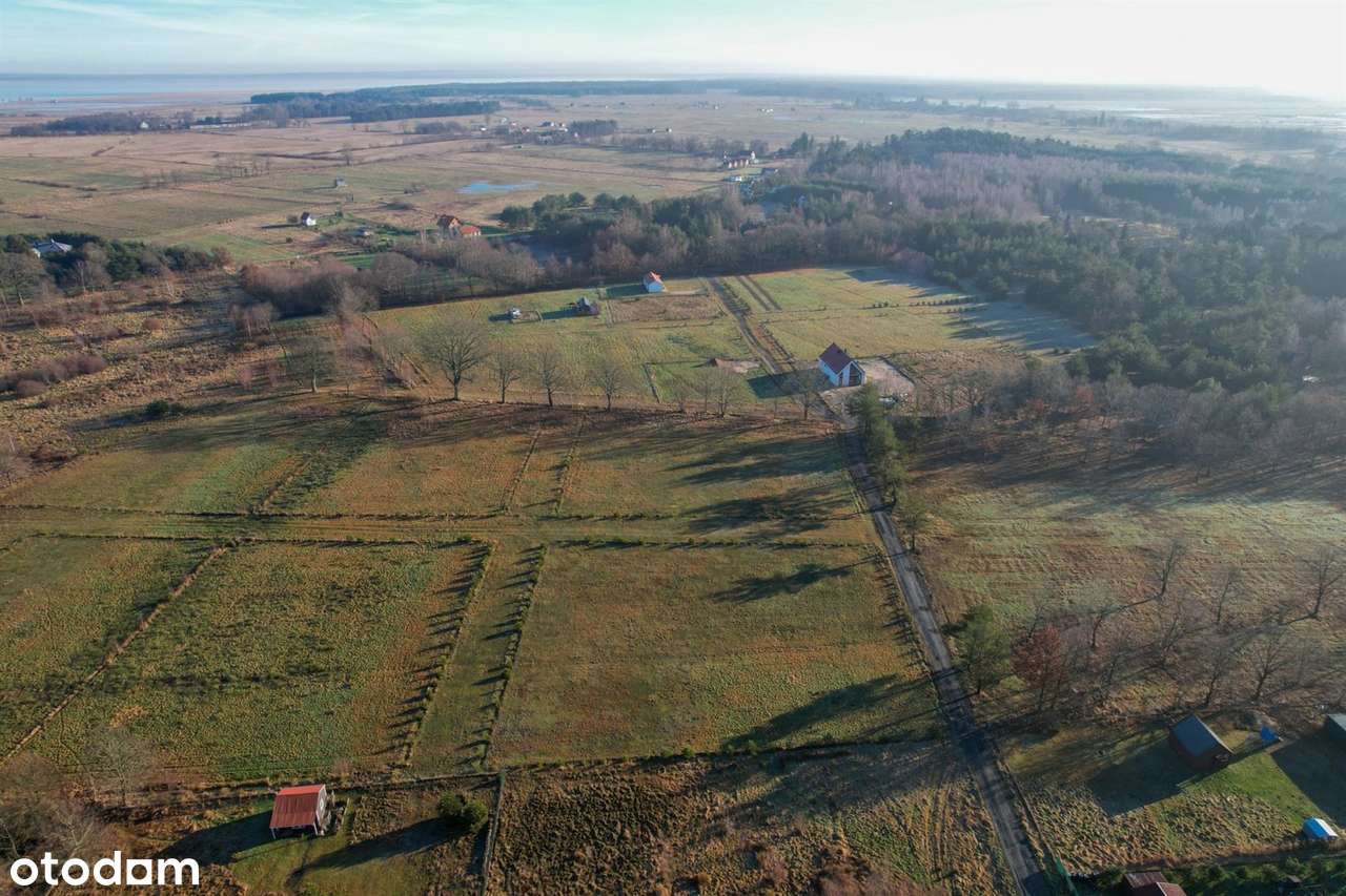 Smołdziński Las, działka - Pełny obrazek: 3/6