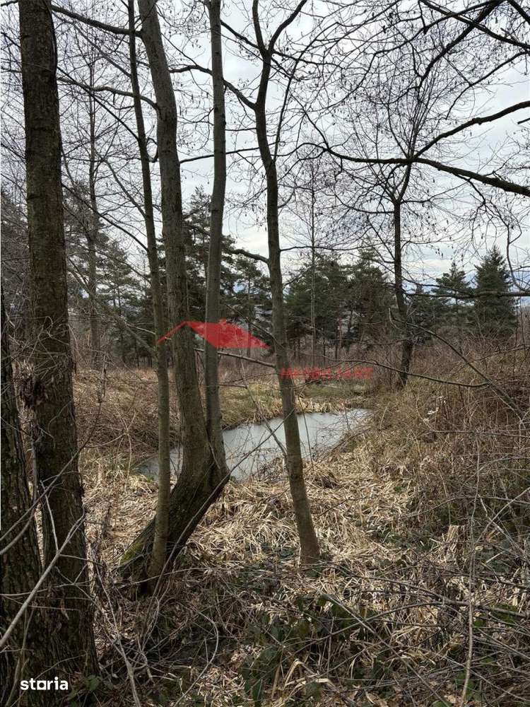 Teren cu 2 izvoare,  Prundul Bargaului - Imagine principală: 3/10