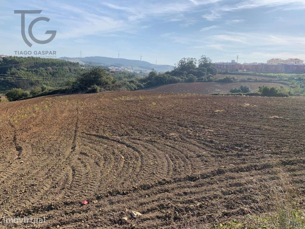 Terreno Sobral de Monte Agraço - Grande imagem: 4/4