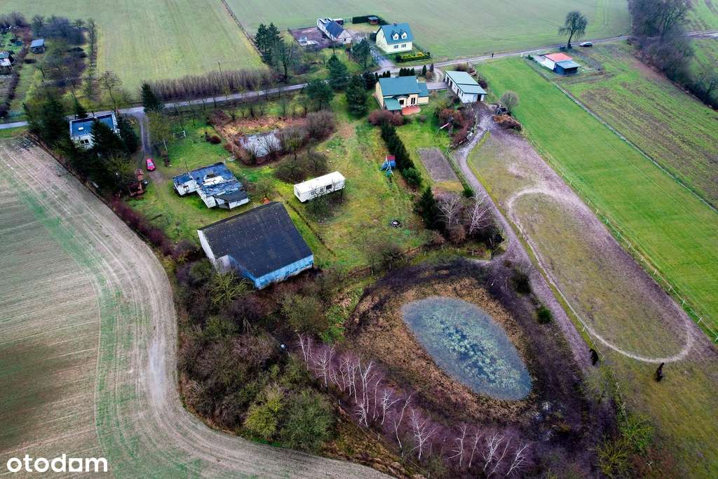 Urokliwa działka ze stawem SPOKÓJ I CISZA Nowa cen-4