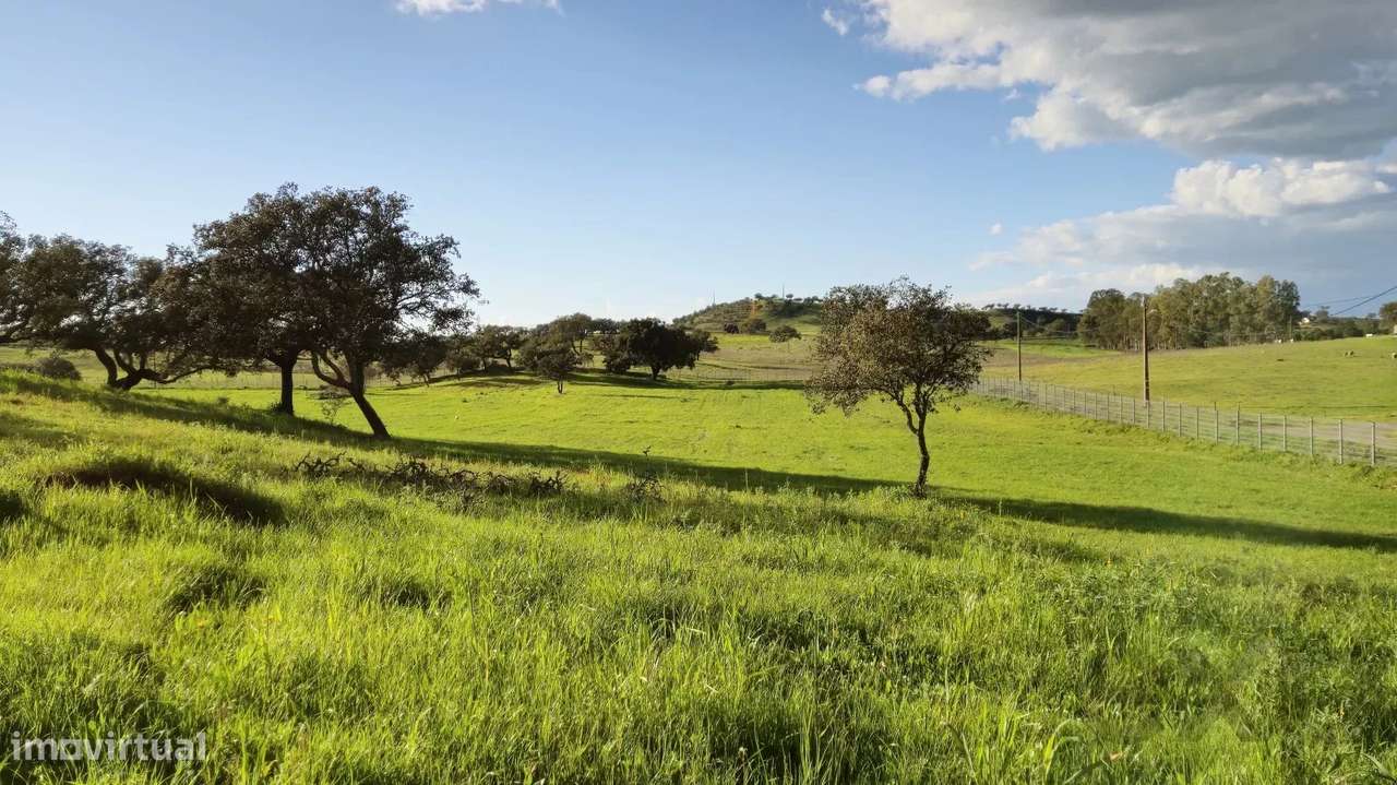 Casa senhorial privada com piscina em mais de 5 hectares.-51
