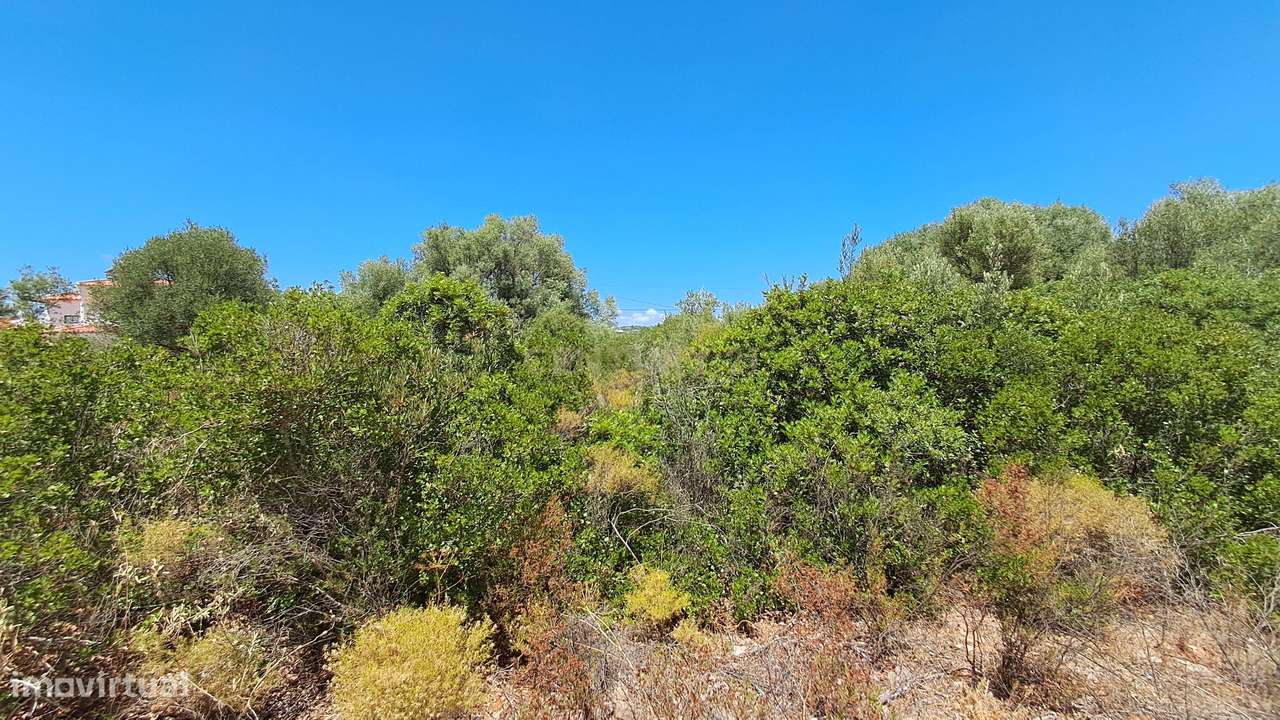 Terreno com 9.135 m² em Boliqueime-10