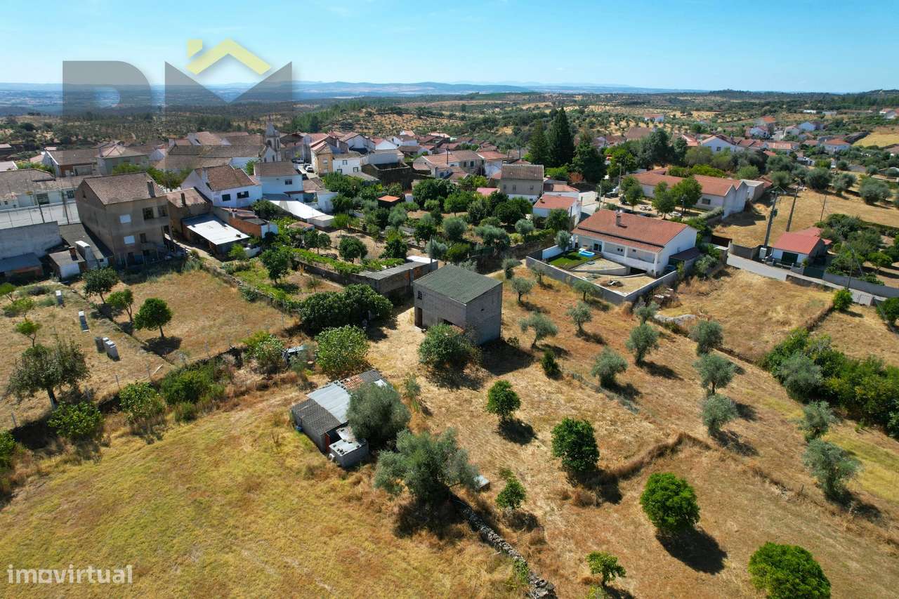 Terreno Rústico  Venda em Escalos de Baixo e Mata,Castelo Branco - Grande imagem: 4/23