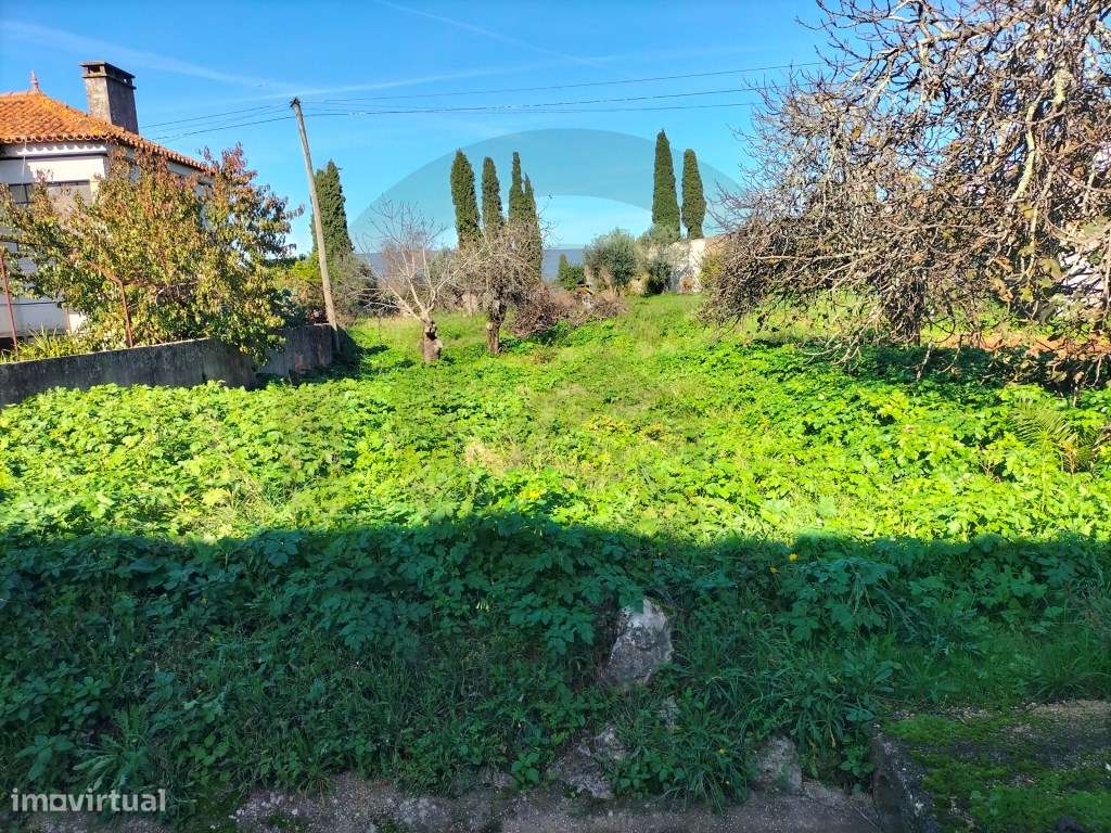 Terreno em Torres Novas
