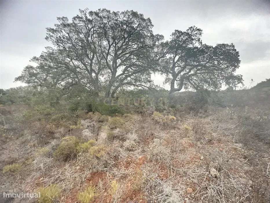 NÃO PERCA ESTA GRANDE OPORTUNIDADE! TERRENO RÚSTICO COM 1.5 HA COM ACE - Grande imagem: 2/3