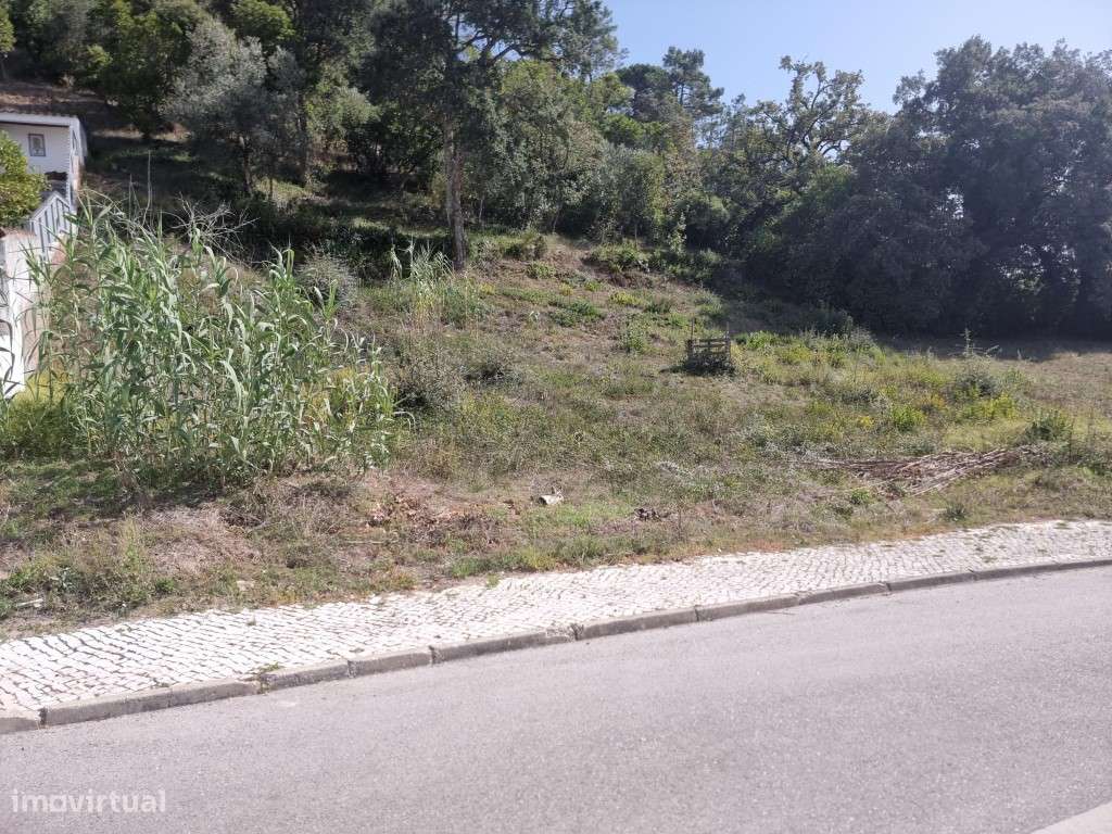 Lote - São Romão -Leiria-3