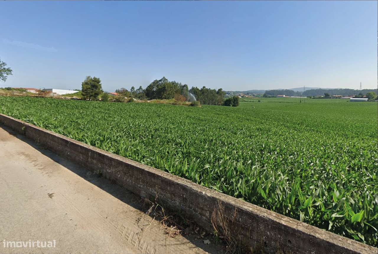 Terreno próximo Santuário Alexandrina de Balasar - Grande imagem: 5/5