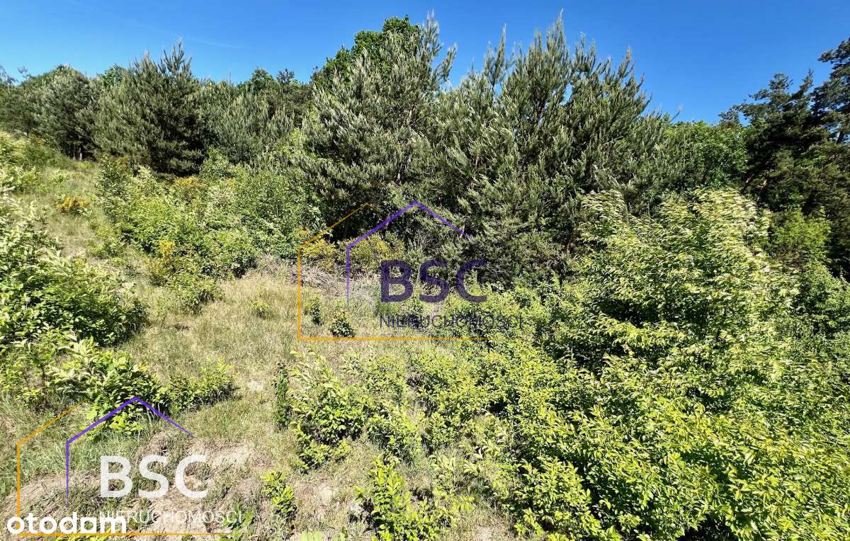 Duża i tania działka w gminie Serock-6