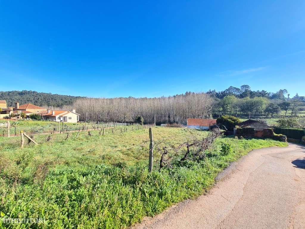 Terreno para construção na Piedade - Espinhel (Águeda)-5