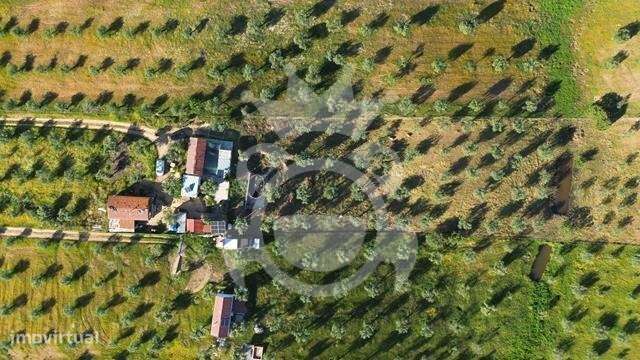 Terreno com vista Lago Alqueva-7