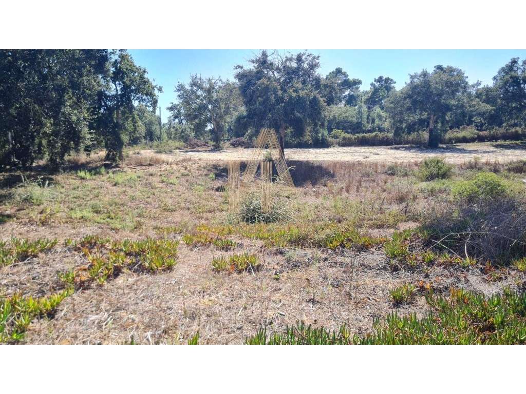 Fantástico terreno para construção de moradia em banda na Cotovia - Grande imagem: 2/7