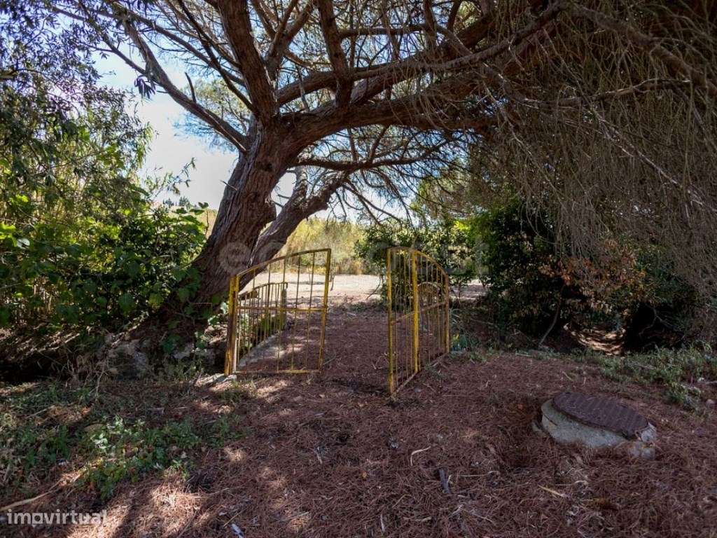 Quinta em Cascais com 10.000m2 - Grande imagem: 5/60