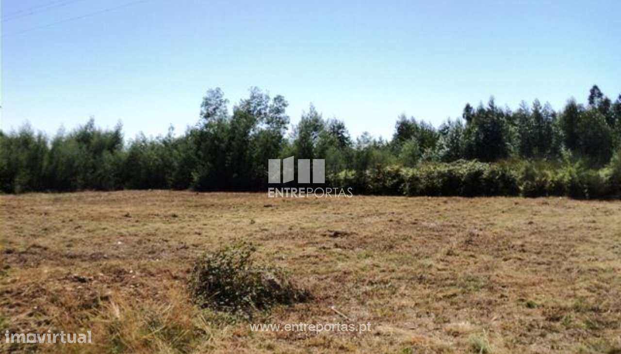 Venda de Terreno de construção, Vila de Punhe, Viana do Castelo - Grande imagem: 2/31