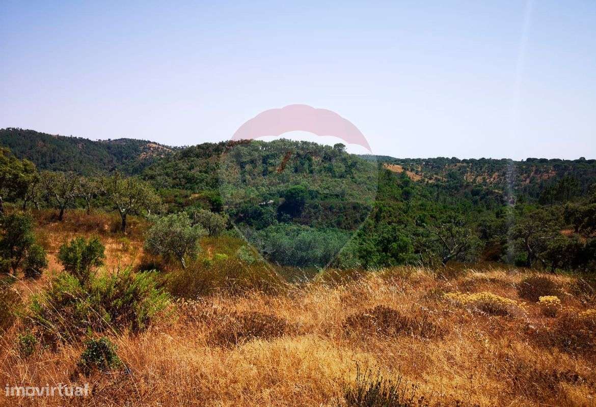 Terreno T0 para venda - Grande imagem: 4/26