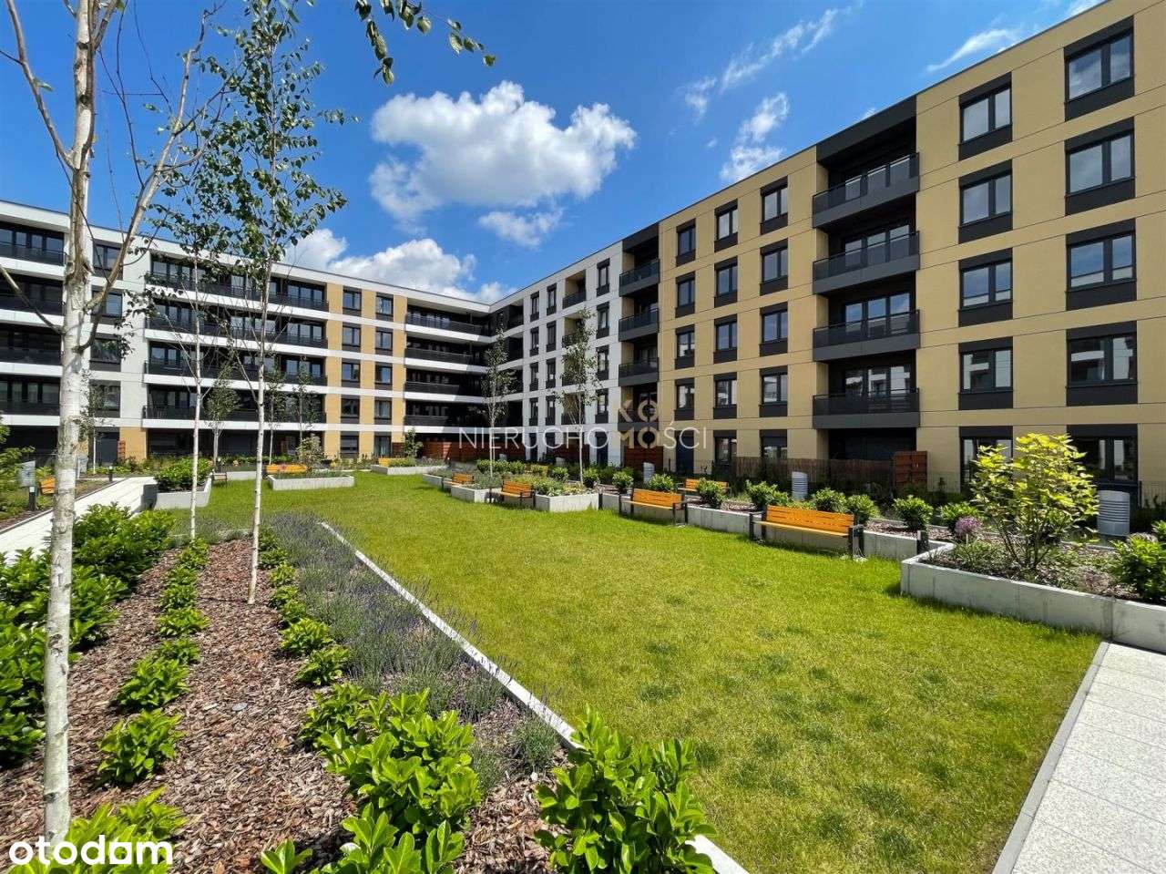 Szeroki ustawny salon | Słoneczne | Garderoba - Pełny obrazek: 5/15