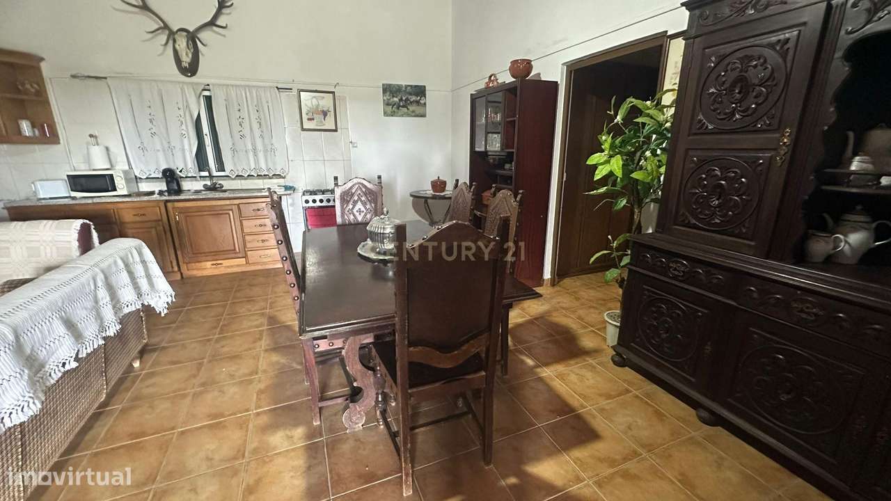 Fantástica Quinta, 5.3ha- Zebreira, Idanha-a-nova - Grande imagem: 5/19