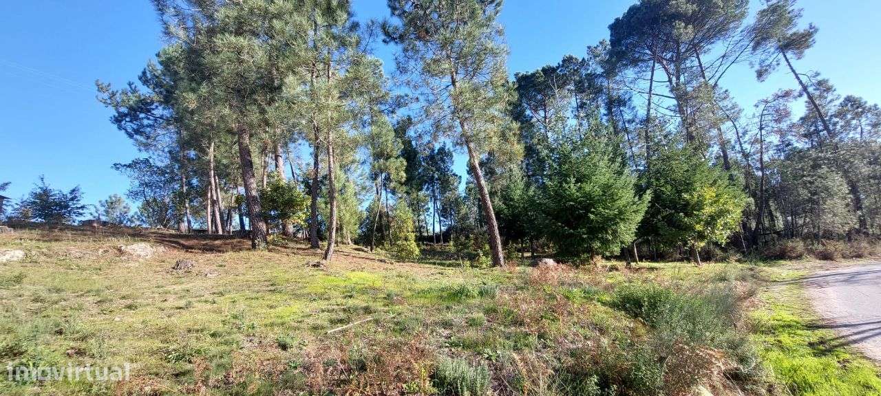 Terreno para Construção Soutulho - Viseu-6