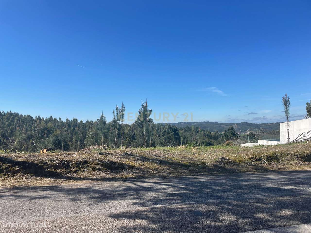 Terreno à venda em Aldeia do Mato, Abrantes - Grande imagem: 4/14