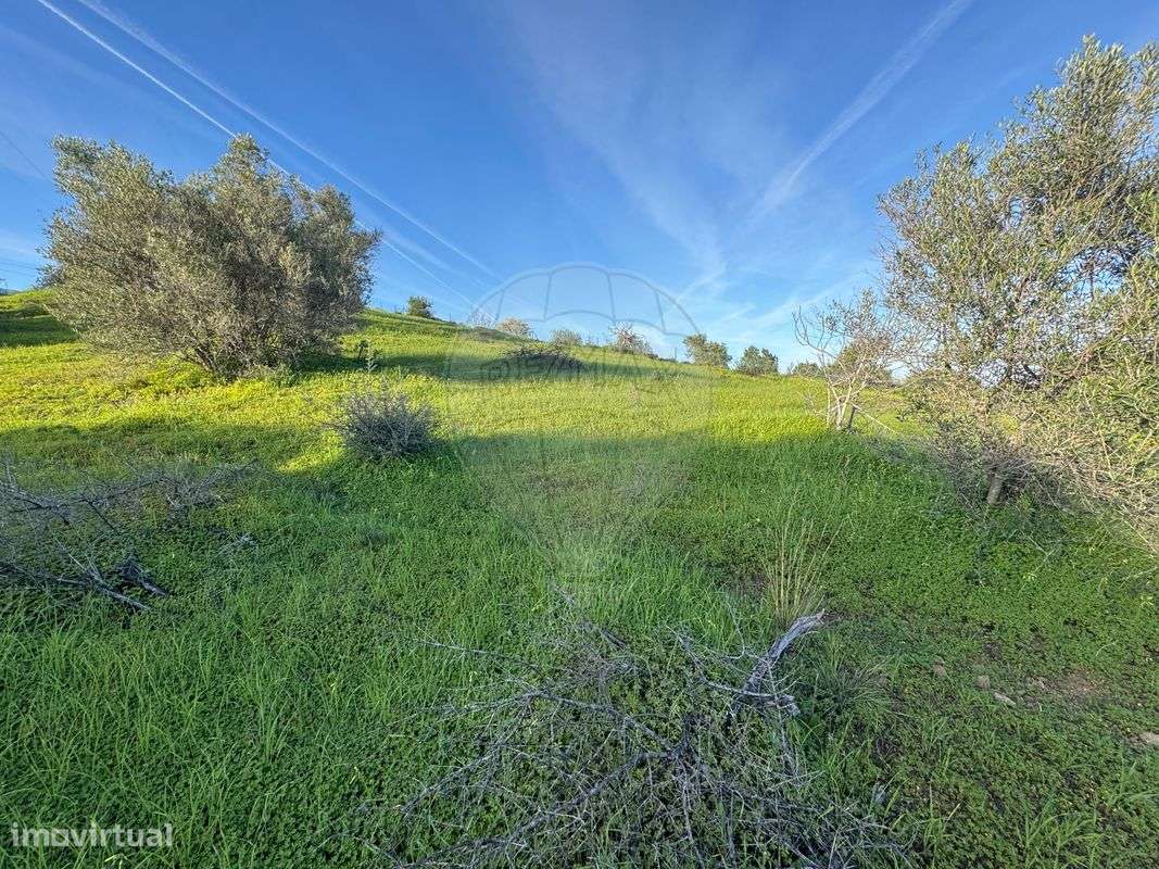 Terreno  para venda - Grande imagem: 3/10