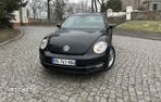 Volkswagen Beetle - 23