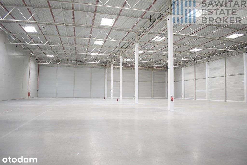 Klasa A- magazyn/produkcja. od zaraz-bez prowizji. - Pełny obrazek: 5/5