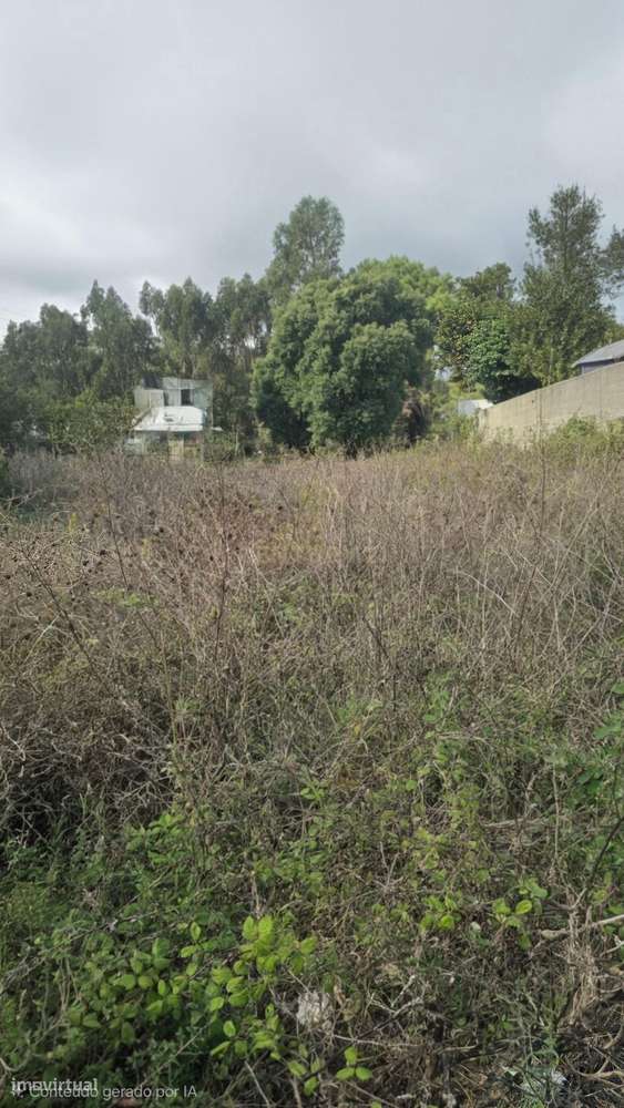 Terreno em Belas com projeto aprovado para moradia-9
