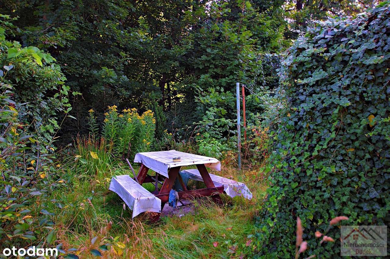 2 pok lokal w Jelenie Górze , Cieplice-5